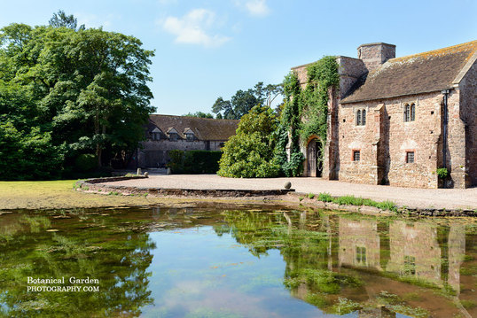 Picture Cothay Manor Near Wellington Somerset
