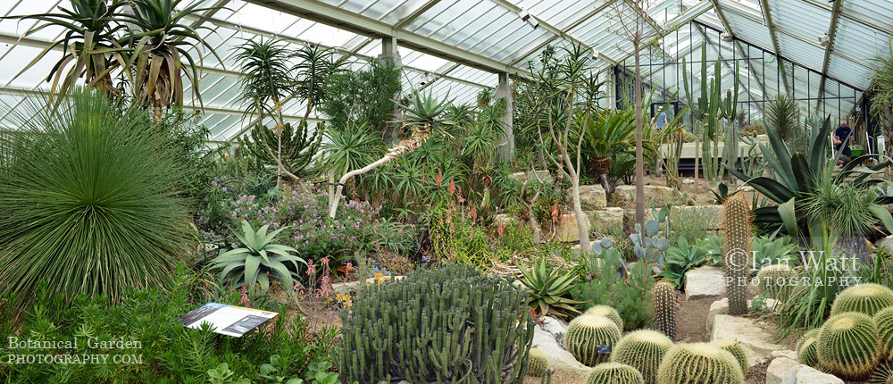Picture The Princess of Wales conservatory arid zone Kew Gardens