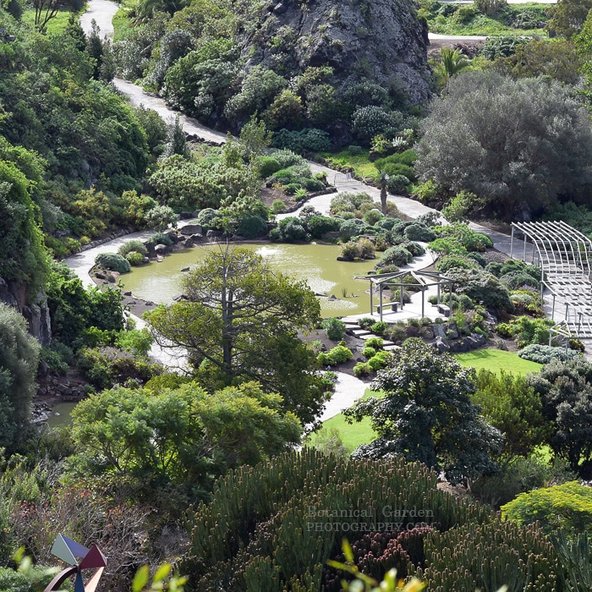 Picture Jardin Botanico Canario Viera y Clavijo, Gran Canaria.